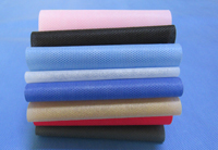 江西涤纶（PET）无纺布是什么